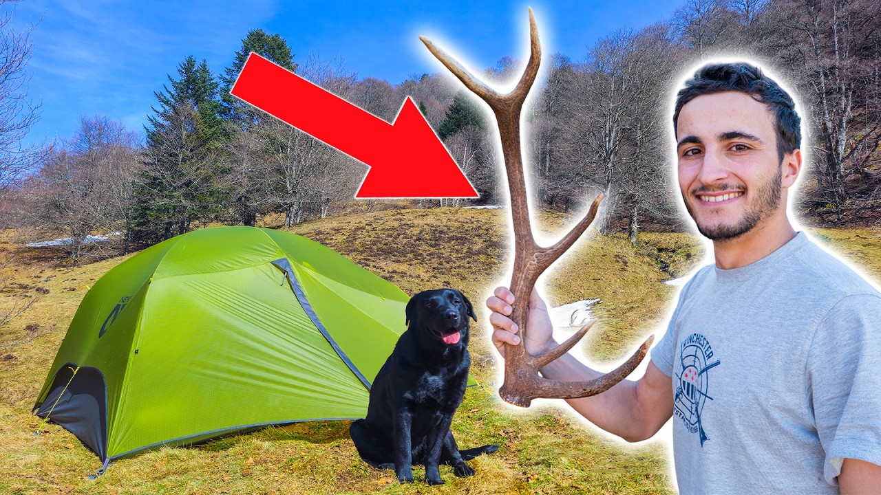 Camper 3 Jours Seul en Montagne & Trouver des Bois de Cerfs avec mon Chien
