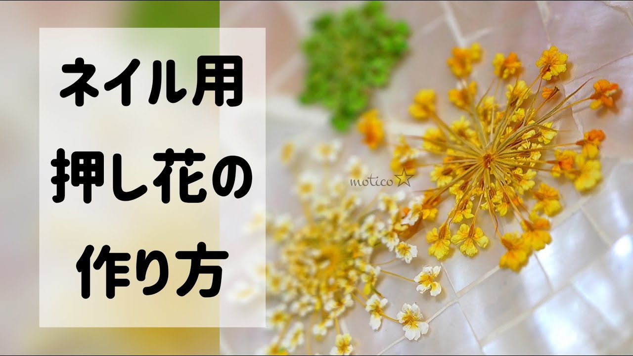 ネイル用押し花作ってみた☆レースフラワー