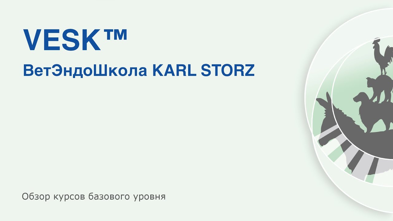 VESK&trade; &mdash; ВетЭндоШкола KARL STORZ. Обзор курсов базового уровня.