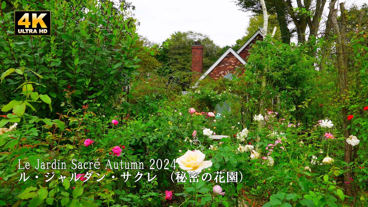Gonda Residence: Le Jardin Sacré in Autumn