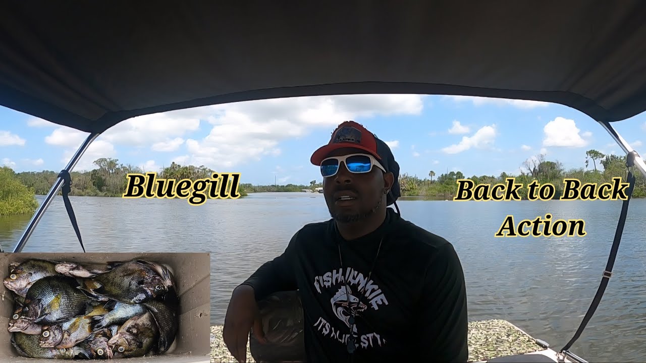 Fishing (Bluegill Beds) After The Rain with Slip Bobbers‼️#fishing