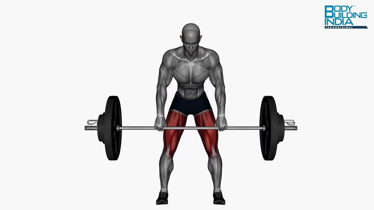 Back Workout | Exercise 42 |Romanian Deadlift Barbell | Bodybuilding India