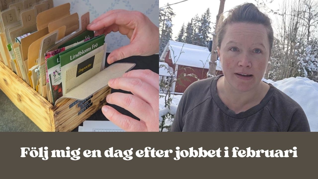 Klassisk eftermiddag i februari 👩‍🌾