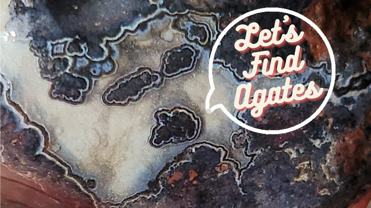 ROCKHOUNDING AGATES & Other Semi-Precious Gemstones 💎 | Back at the Beach Full of Agates!