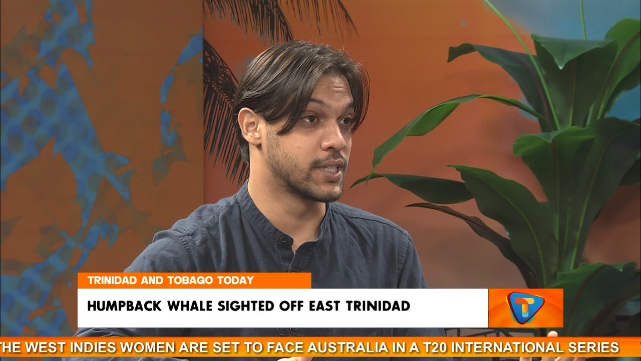 В Тринидаде и Тобаго начался сезон гнездования морских черепах.