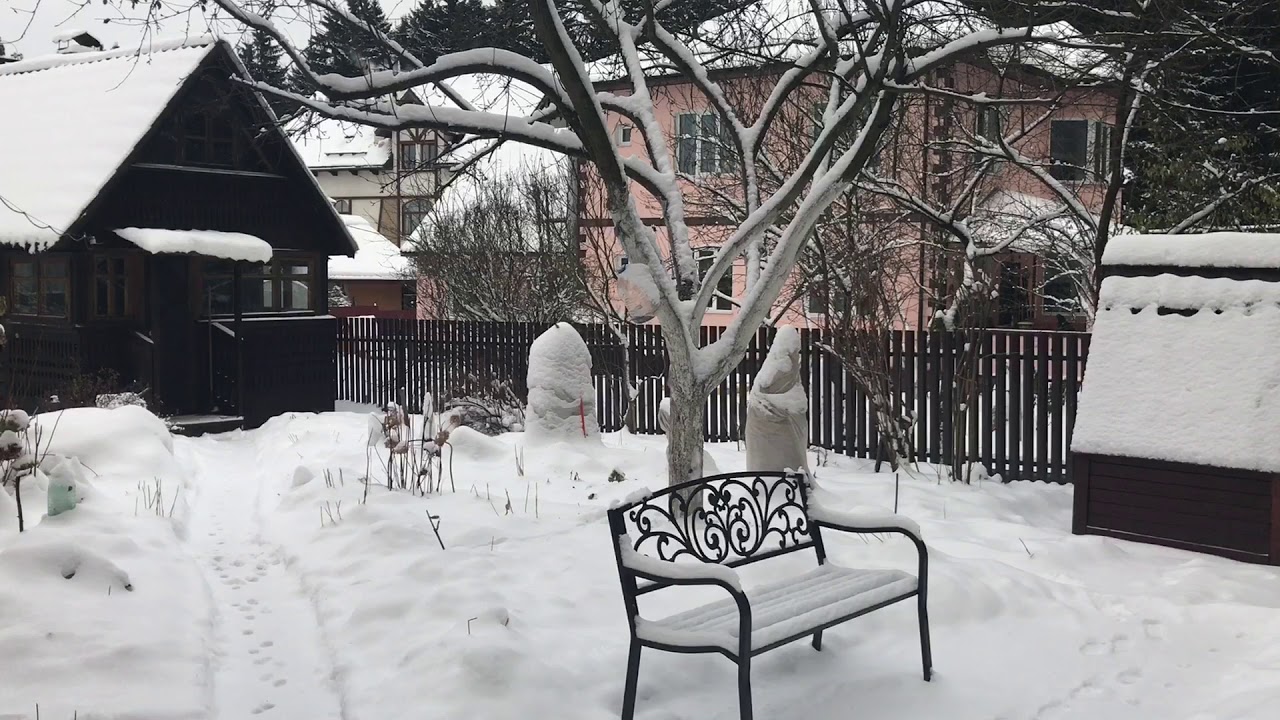 Загородная жизнь ( дача рядом с лесом )