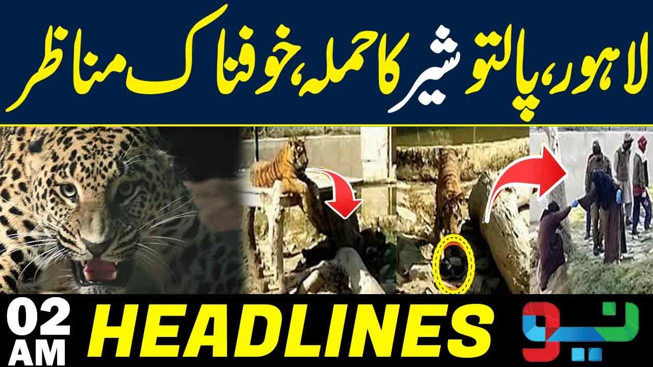 Lion Attacks Child in Lahore’s Nawan Kot Area | Shocking Incident | 02AM Headlines | Neo News