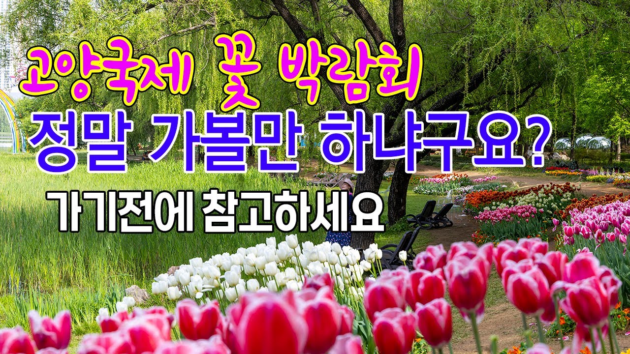고양 국제 꽃박람회/ 가볼만한곳인지 참고해보세요 #고양국제꽃박람회  #국제꽃박람회 #고양여행지 #일산호수공원