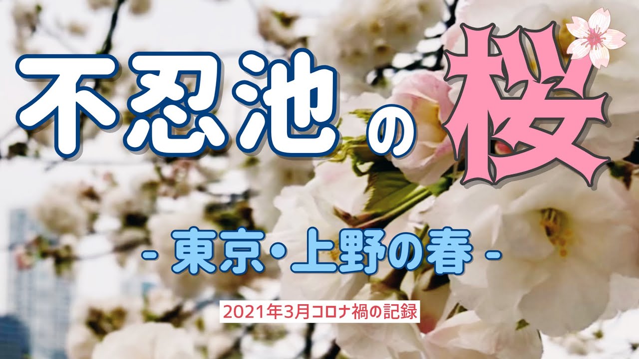 東京/上野の春【不忍池の桜】2021年3月