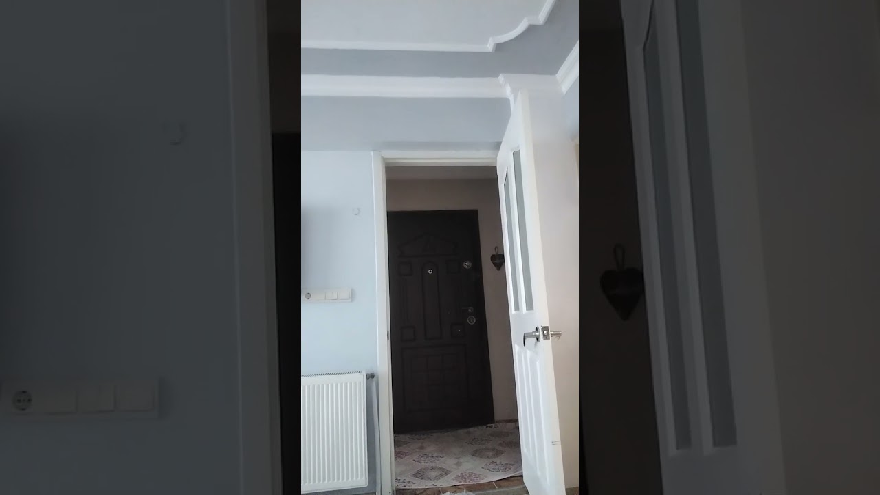 3ev