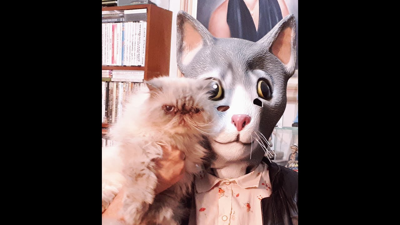 Lino Corrêa tem alma felina  com seus guardiões Mário e Cléo.