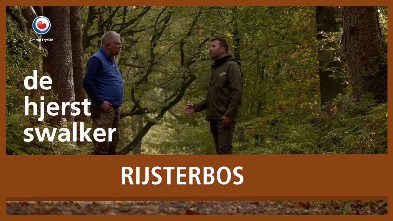 HJERSTSWALKER: Rijsterbos