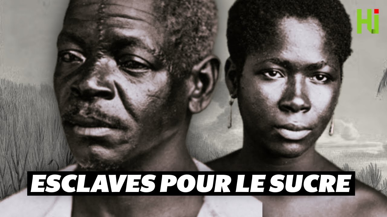 L'autre histoire de l'esclavage