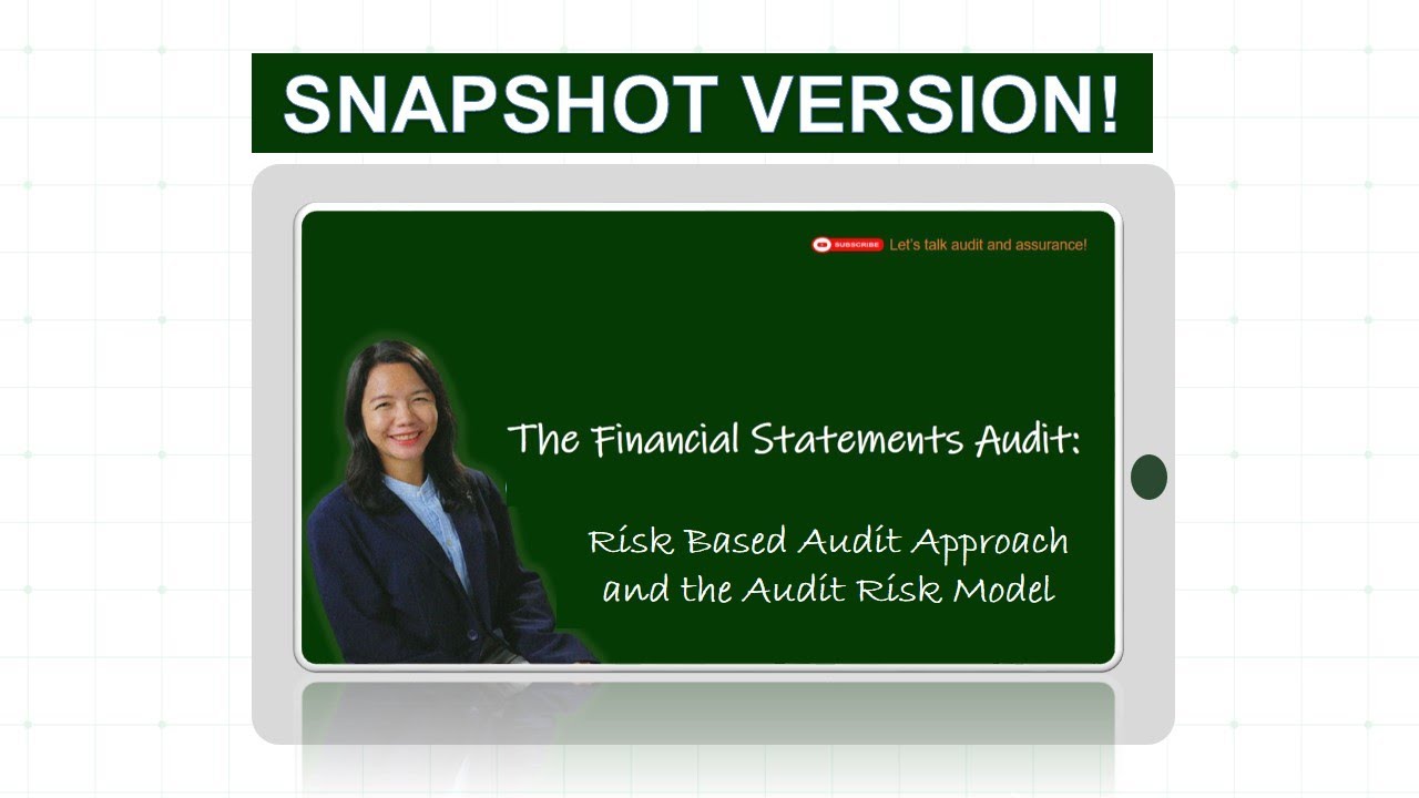 Audit Snapshot: Risk Based Audit and the Audit Risk Model