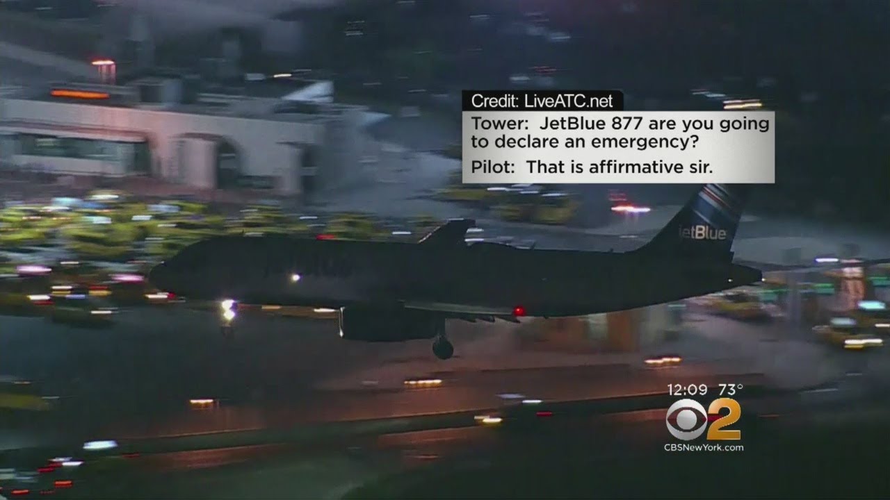Bird Strike Forces Plane's Emergency Landing At JFK Airport