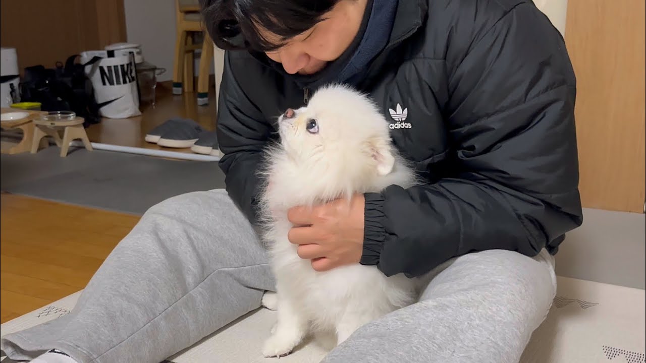 뚜비가 유독 큰형을 좋아하는 이유