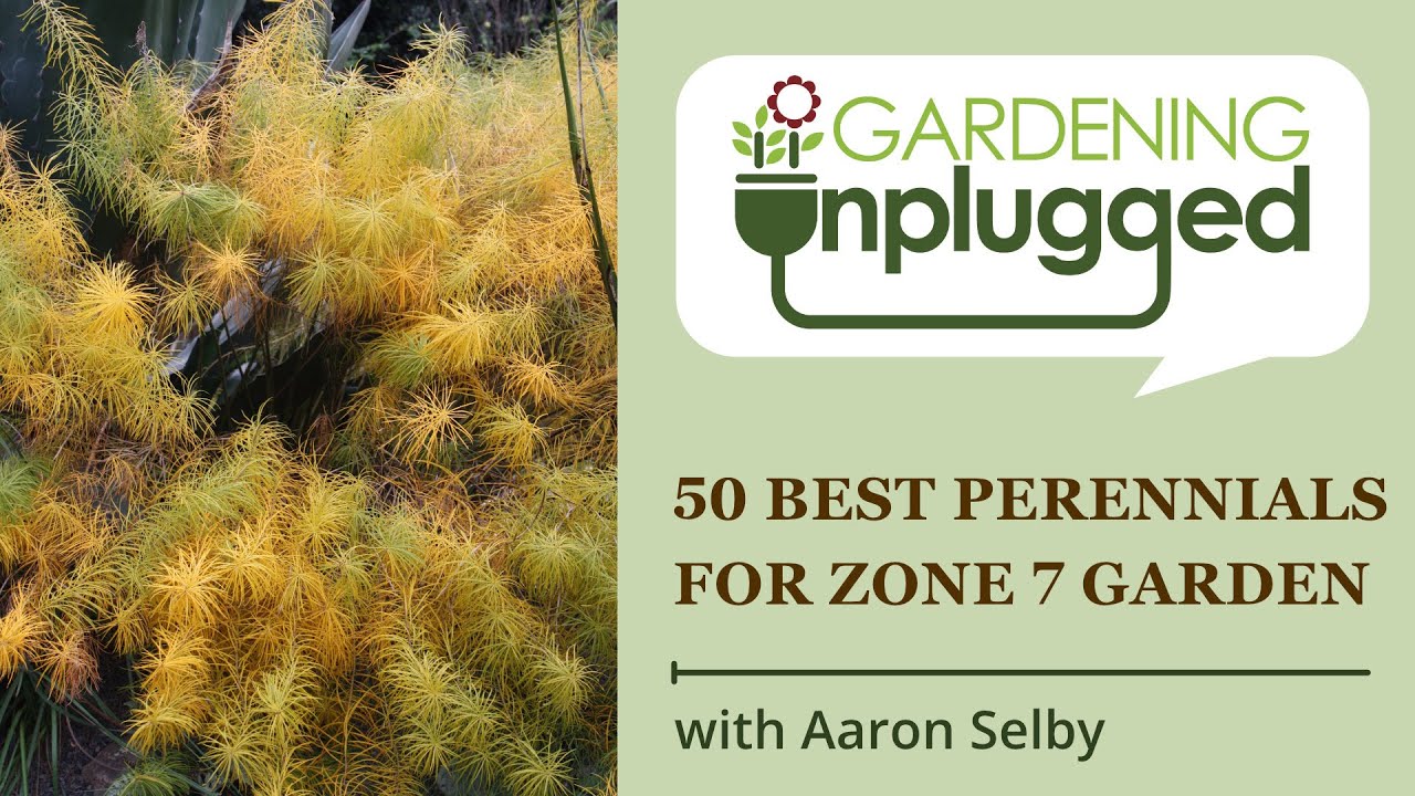Gardening Unplugged -  50 Best ornamental perennials for Zone 7 garden with Aaron Selby