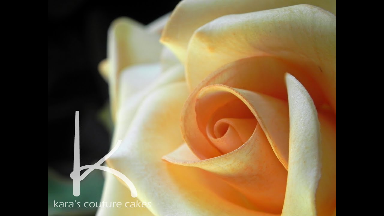 Kara's Couture Cakes - Sugar Rose Video Tutorial