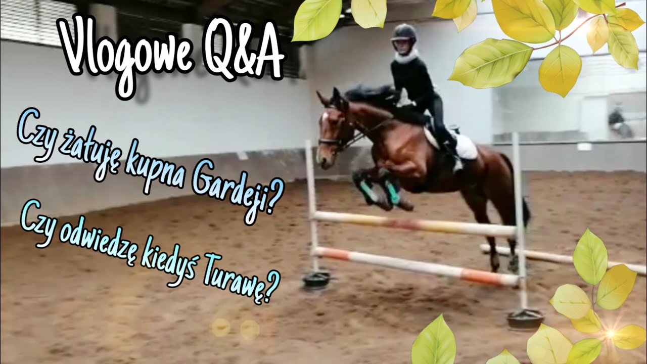 Czy żałuję kupna konia?! Parę słów o Gardejce! Vlogowe Q&A