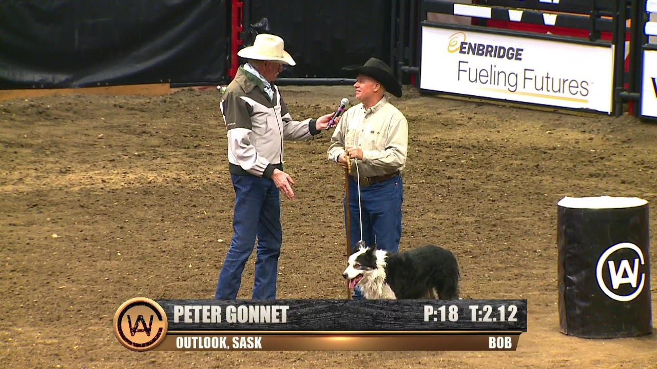 International Stock Dog Championship Trials