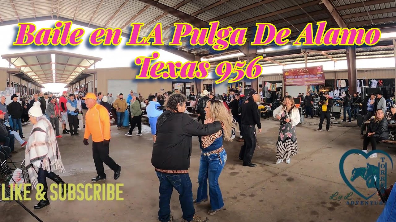 La Pulga de Alamo es la Mejor Opcion para un Domingo Divertido en TEXAS