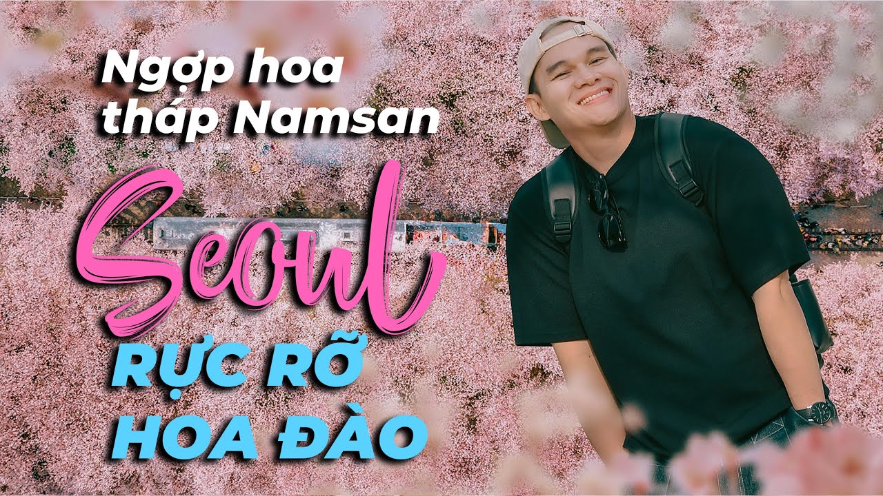 🟢DU LỊCH HÀN QUỐC TỰ TÚC MỚI NHẤT -  MÙA HOA ĐÀO SEOUL  - CHỤP ẢNH ĐẸP - IAMKOO