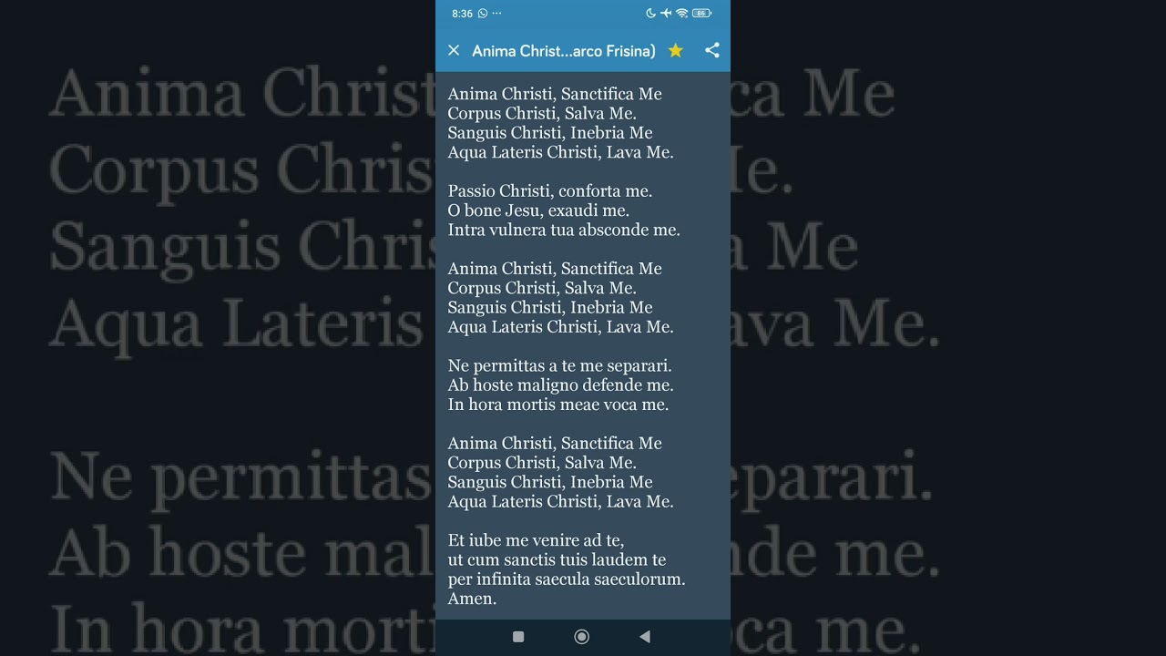Anima Christi – Oração “Alma de Cristo” (em Latim)