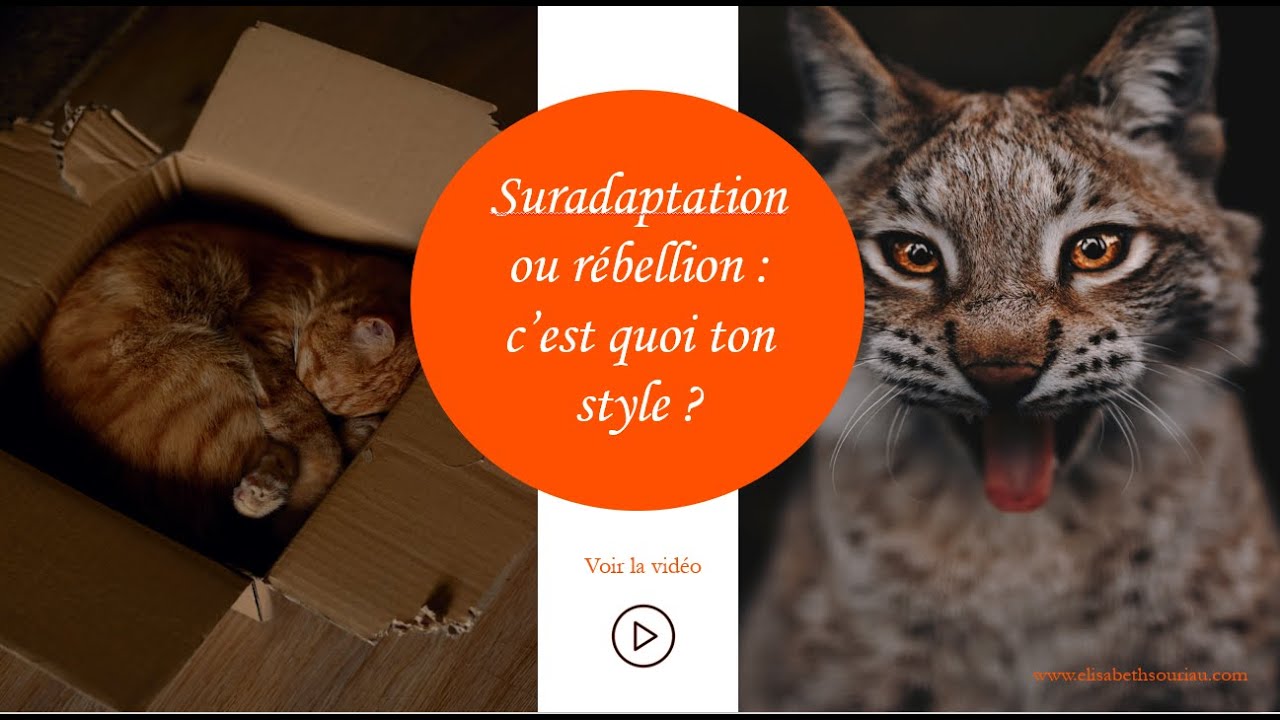 Comment sortir de la suradaptation et de la rébellion pour trouver ton alignement