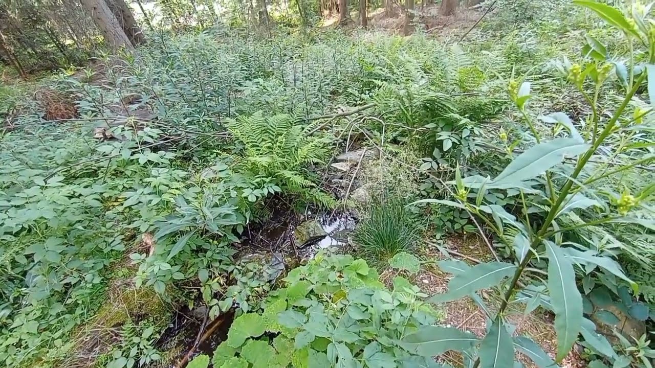 Źr&oacute;dło rzeki Kaczawy (niem.Katzbach) G&oacute;ry i Pog&oacute;rze Kaczawskie