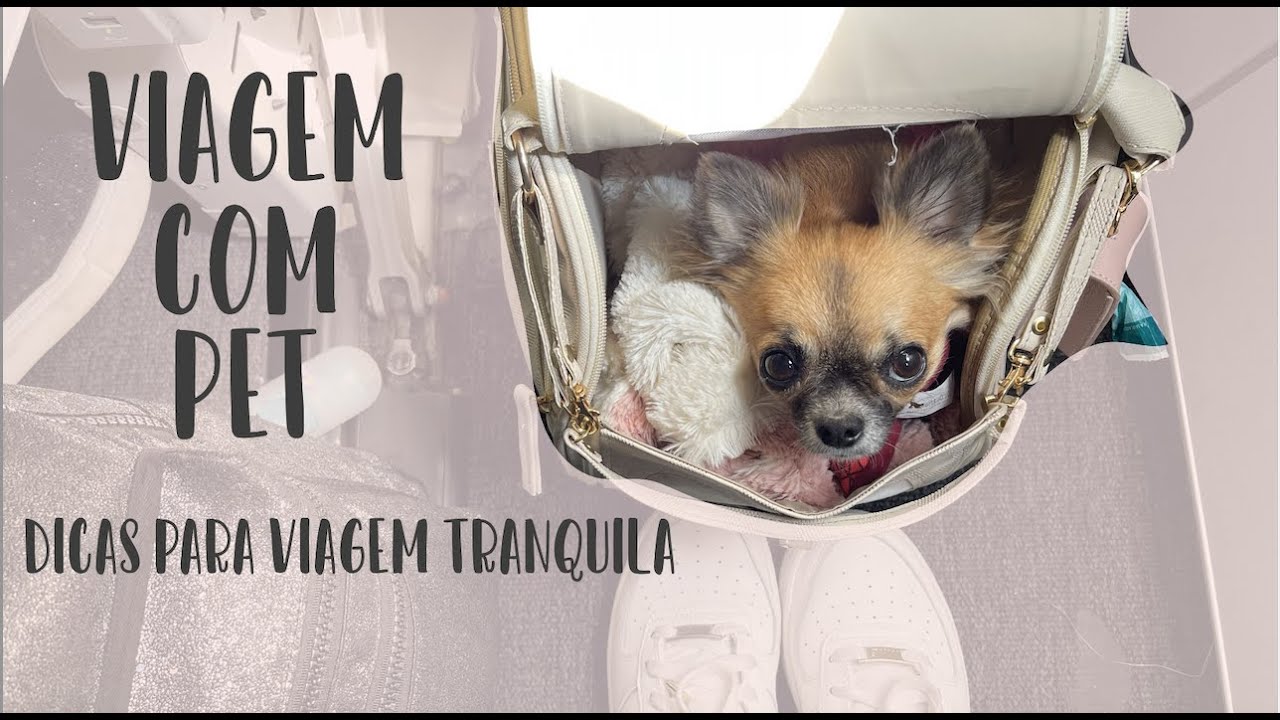 Dicas Viagem com Pet | Não viaje com seu pet sem ver esse vídeo!