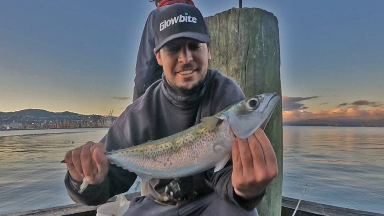 WELLINGTON SURFCASTING ADVENTURES. New Zealand. 2023