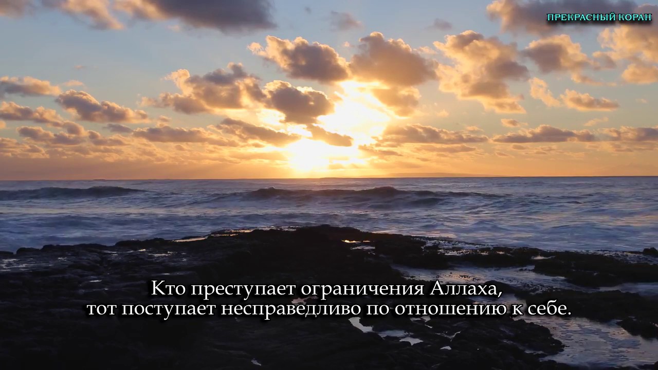Идрис Абкар.  Сура  