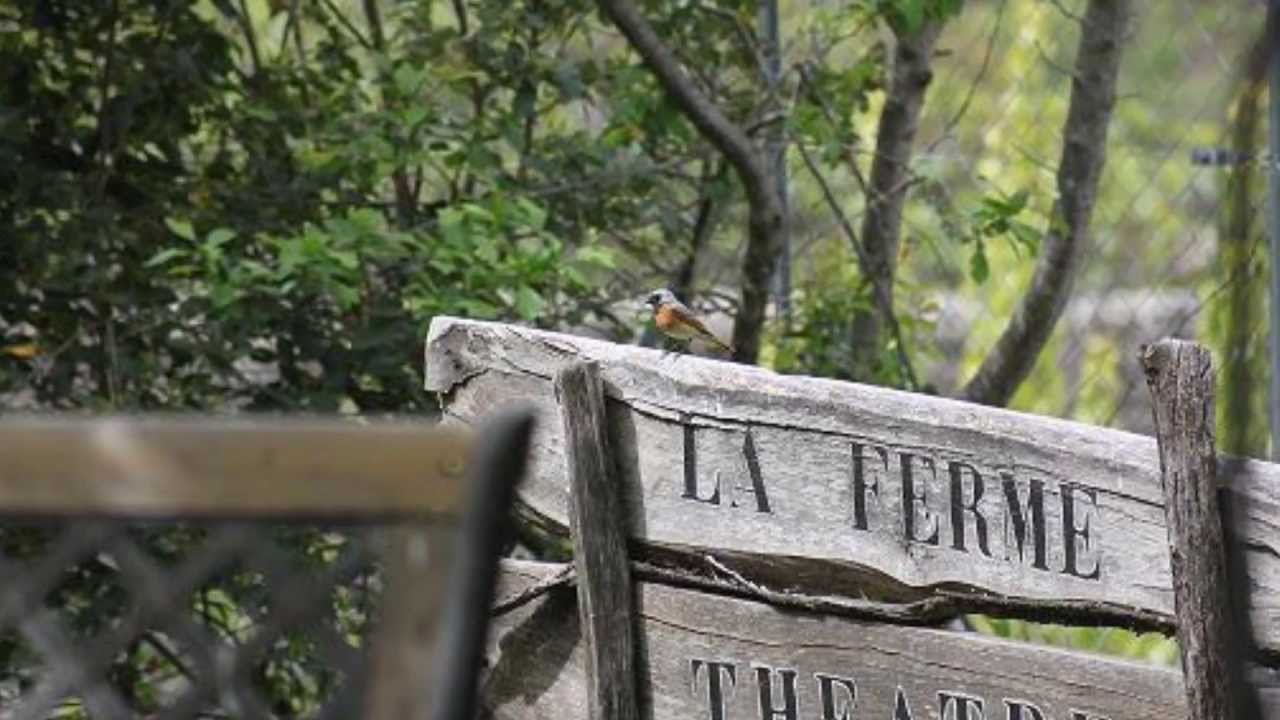 La Ferme Théâtre de et par ALAIN TURBAN