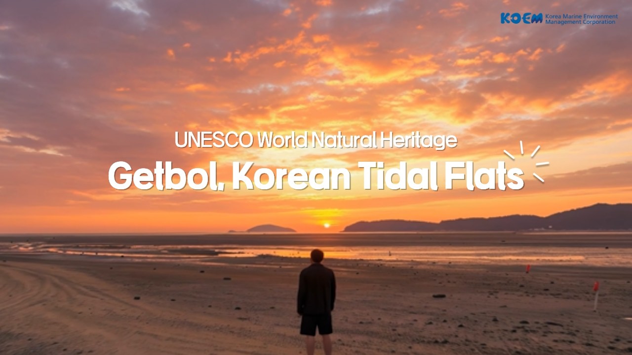 UNESCO World Natural HeritageGetbol, Korean Tidal Flats