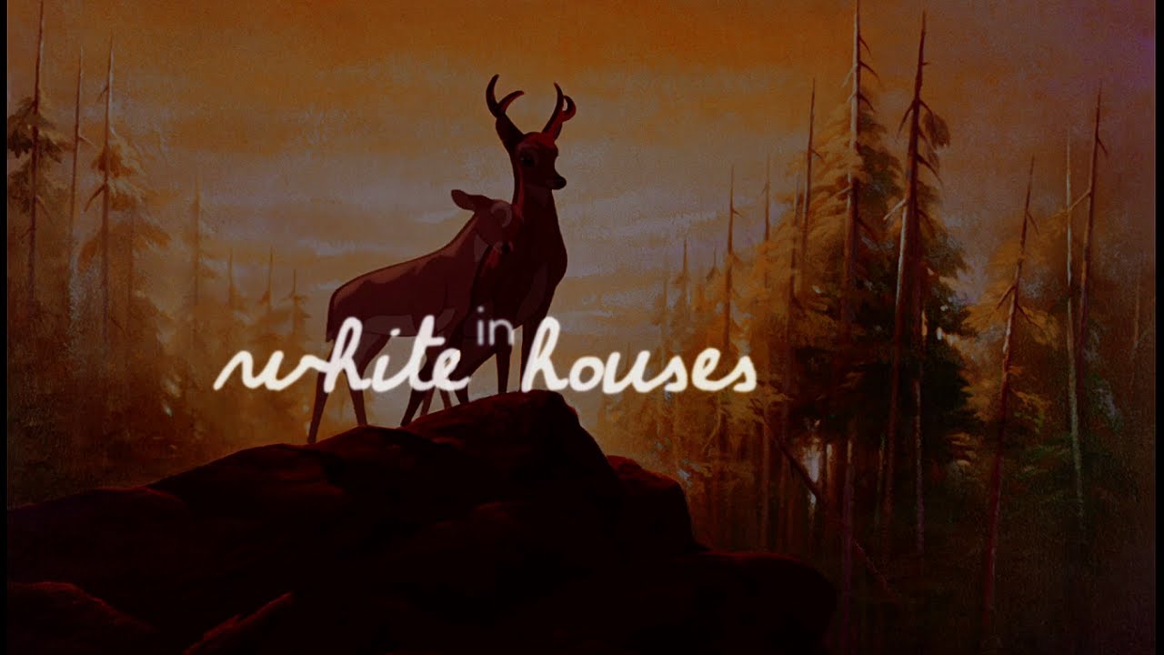 🏡 white houses;