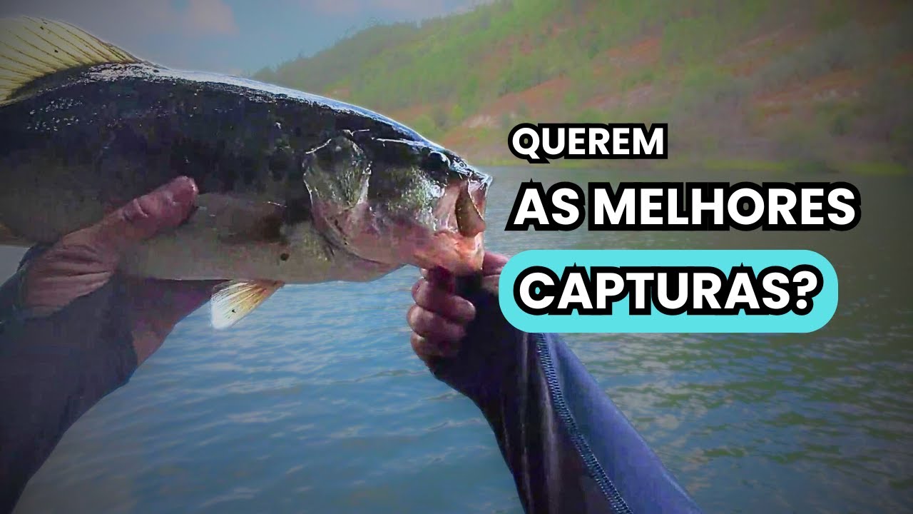 As Melhores Capturas de 2025 com os Sítios e Amostras usadas, Parte 1