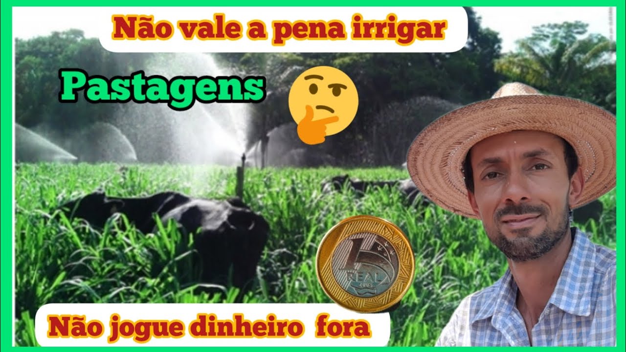 Pastagens irrigada ,um alto custo e baixo retorno//N&atilde;o vale a pena irrigar Pastagens 🌾🐄