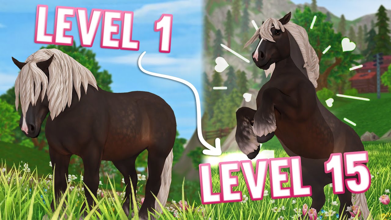 МАКСИМИЗИРУЙТЕ свою лошадь за ОДИН ДЕНЬ?! | Star Stable