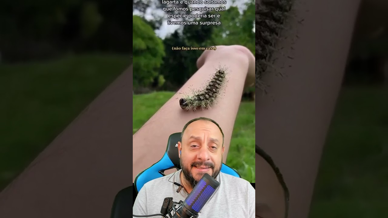 Lagarta na mão?
