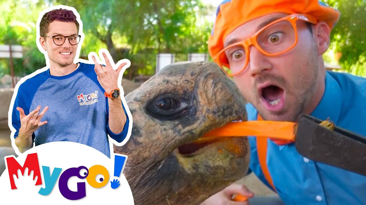 Zoo Animals with Blippi! 🦁 | American Sign Language Videos | Learn ASL | Educational Fun for Kids