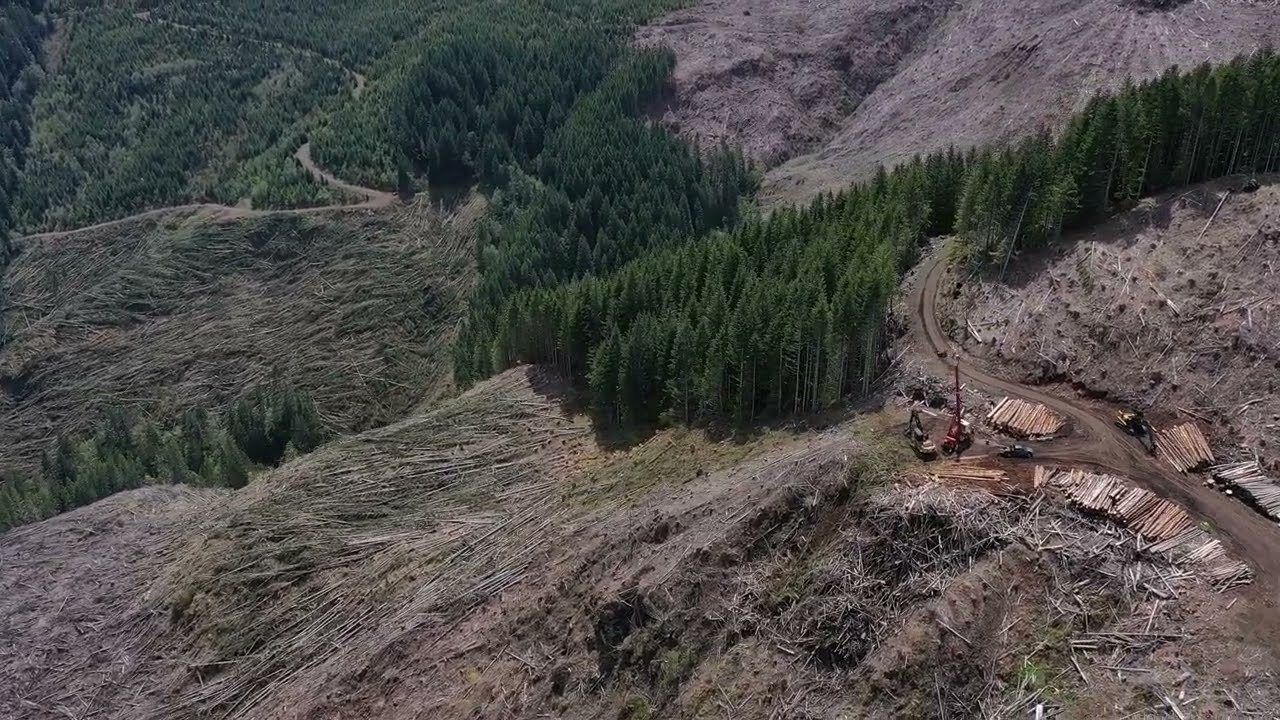 Western Oregon Yarder Logging