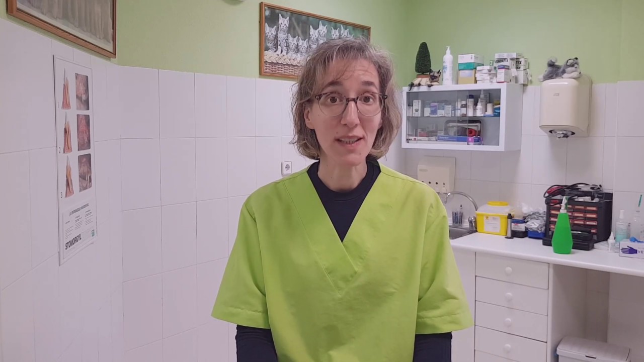 Comunicaci&oacute;n Coronavirus