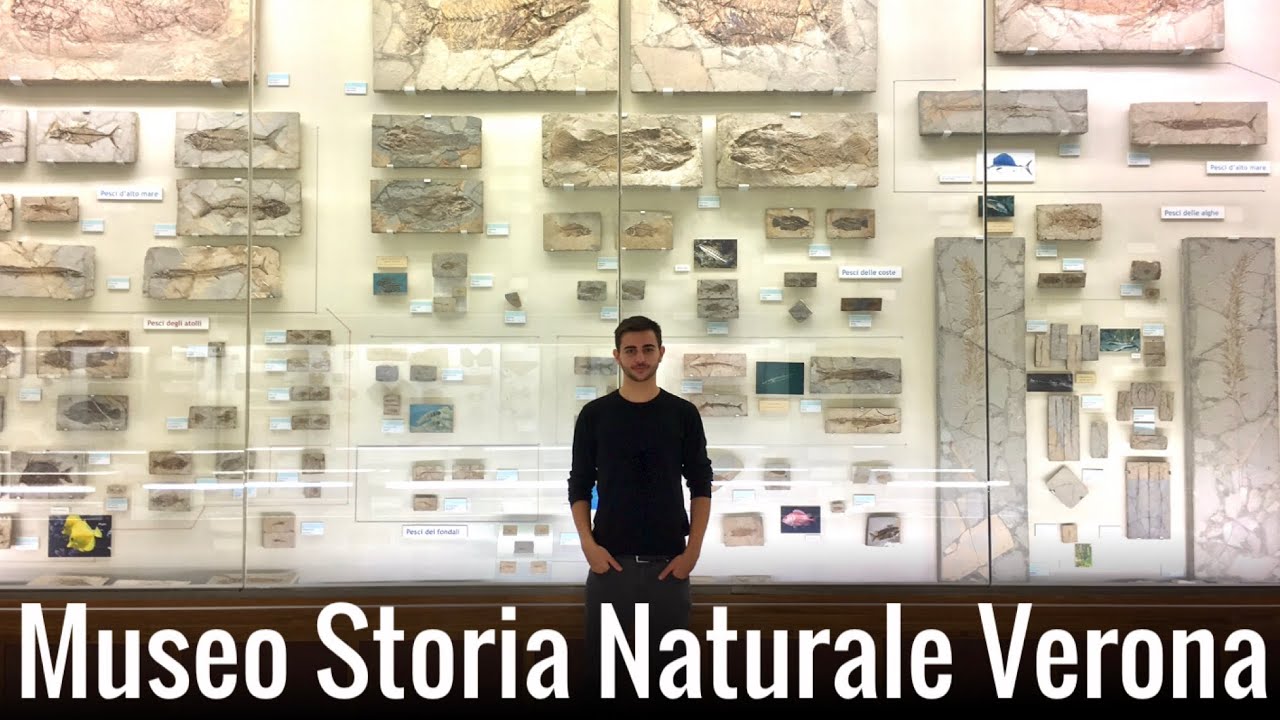 Museo di Storia Naturale VERONA
