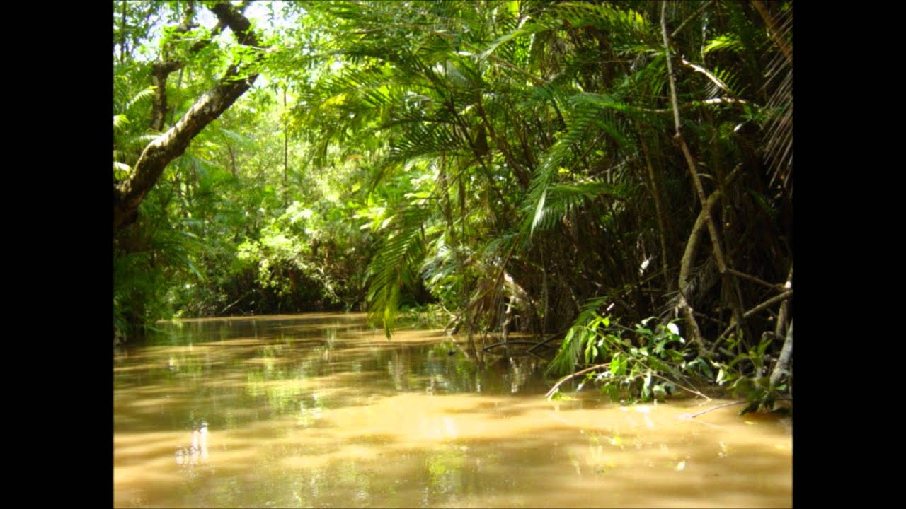 Philip Glass - Japur&aacute; River (Uakti)