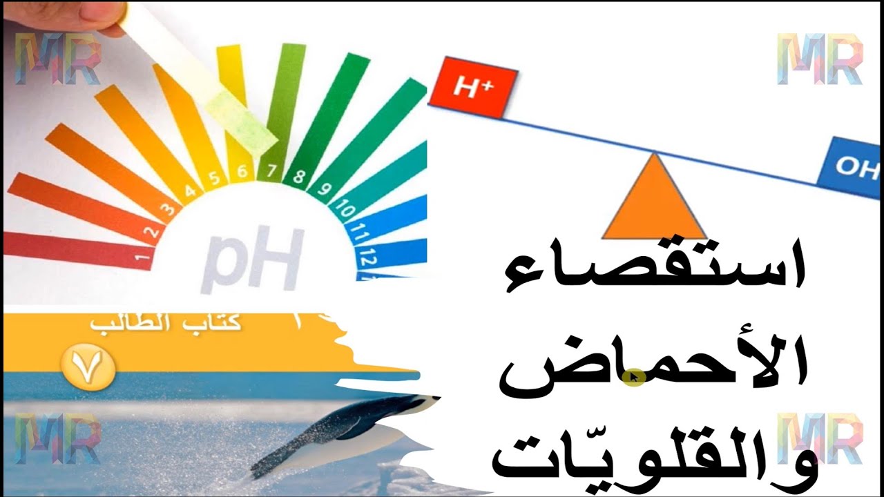 استقصاء الأحماض والقلويات