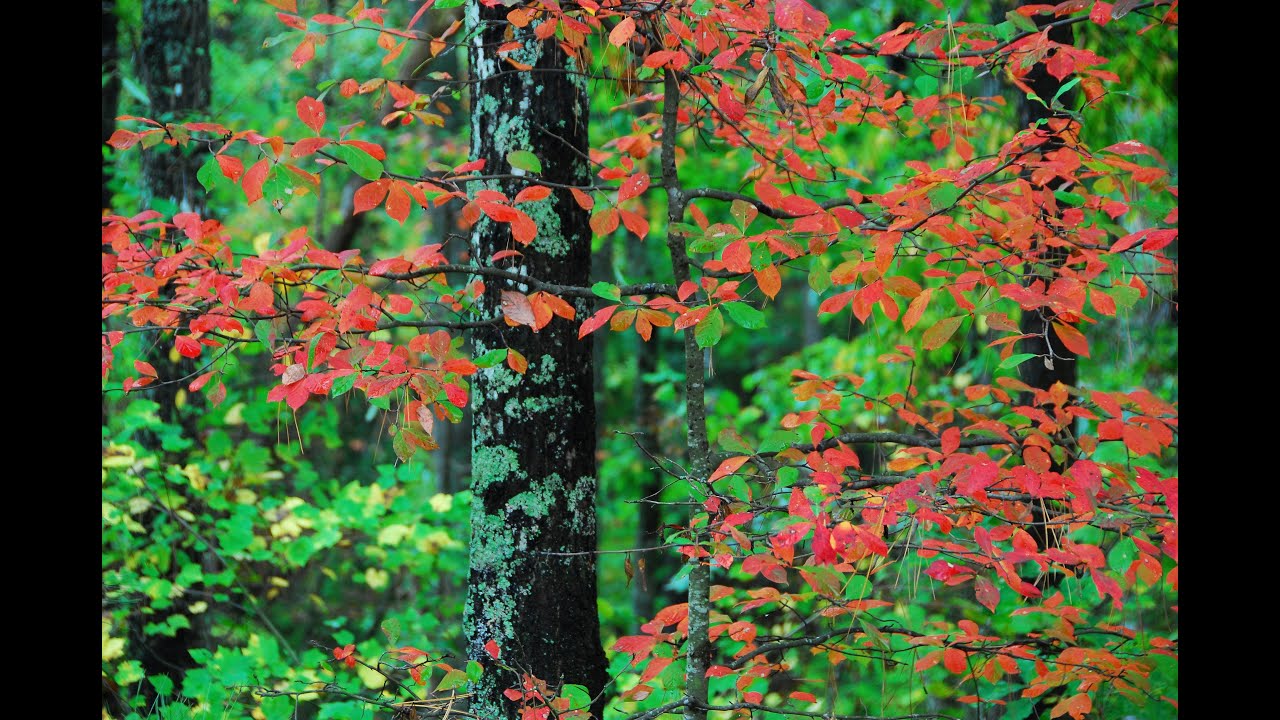 Paularino Photography: Creating Wall Art from Landscape Prints Nature Prints and Canvas Prints