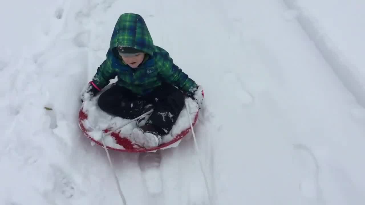 George Mallet's Dog Mushes Through the Snow