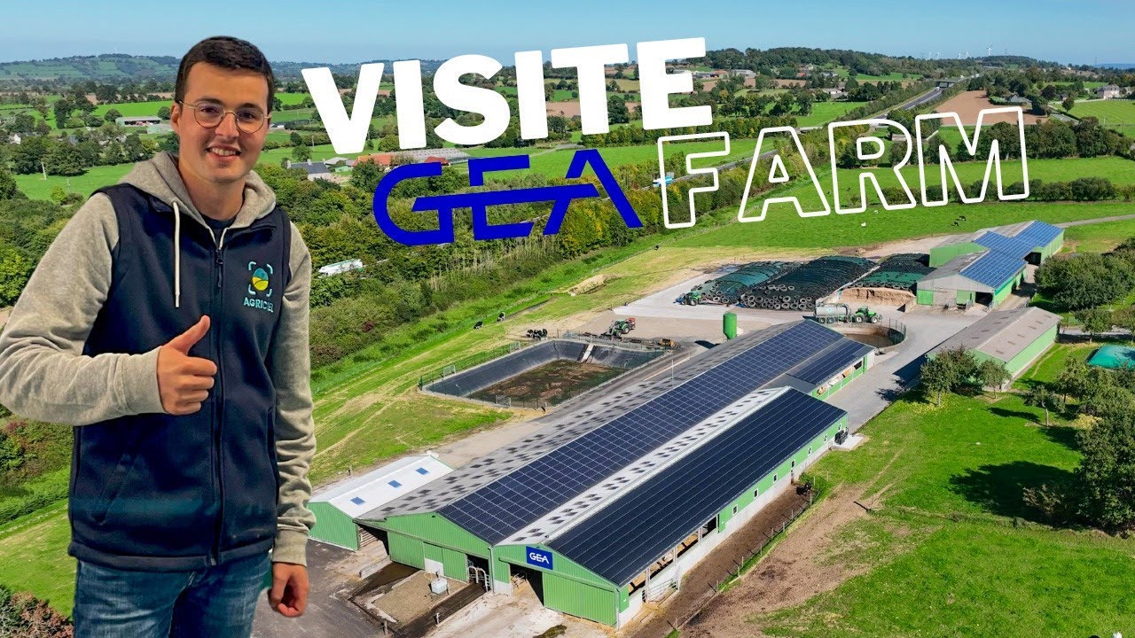 Visite GEA FARM ! 3 Robots pour 200 vaches au pâturage 🐮🤩