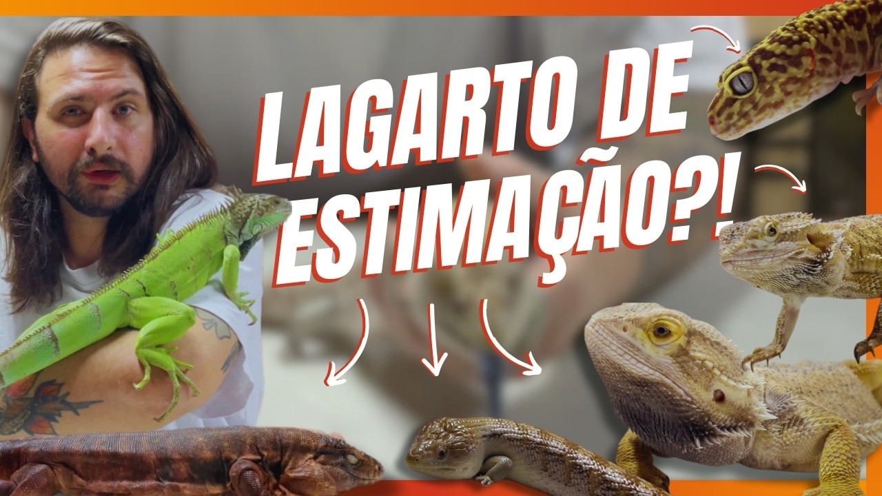 QUAL O MELHOR LAGARTO PARA TER COMO PRIMEIRO PET?