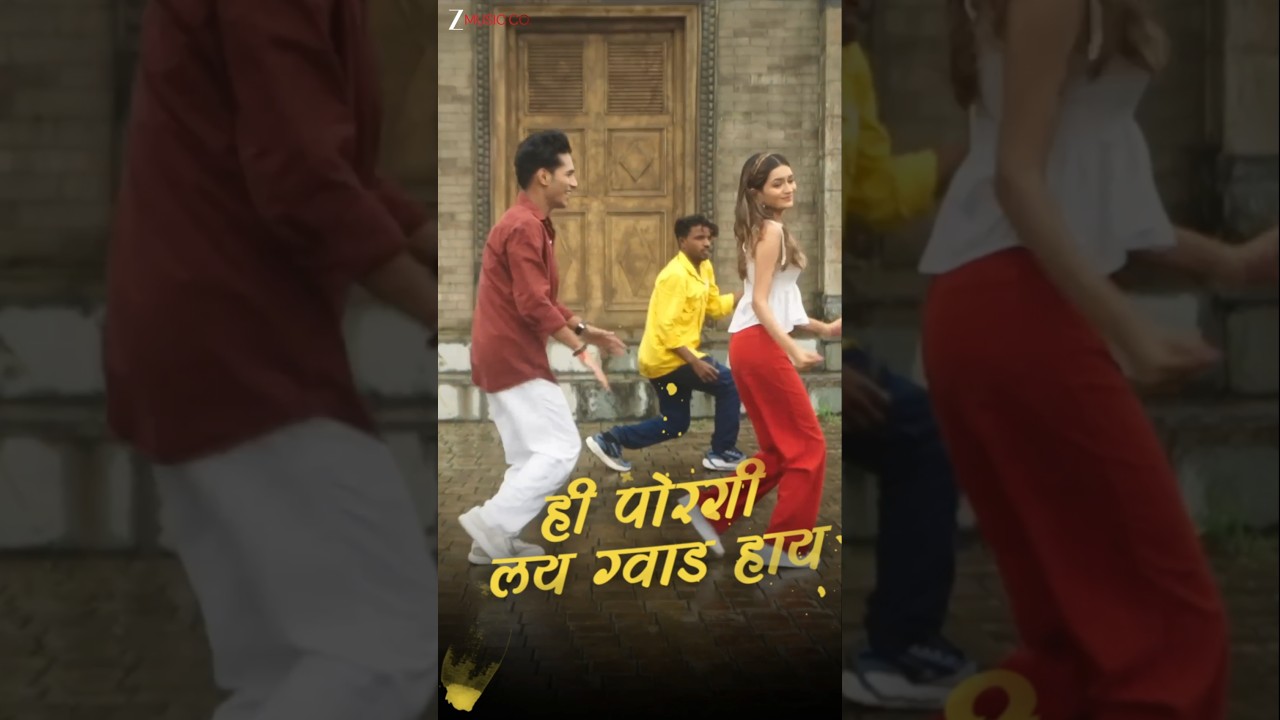 #HiPorgi